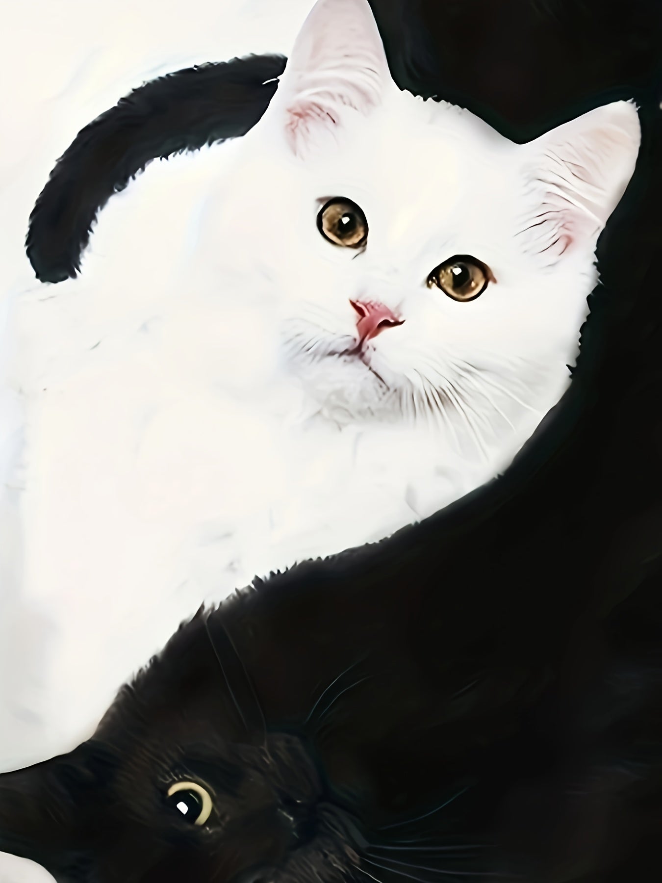 T-Shirt mit Katzenprint und trendigen Farbblöcken – Sommer 2025 Kollektion – Marit